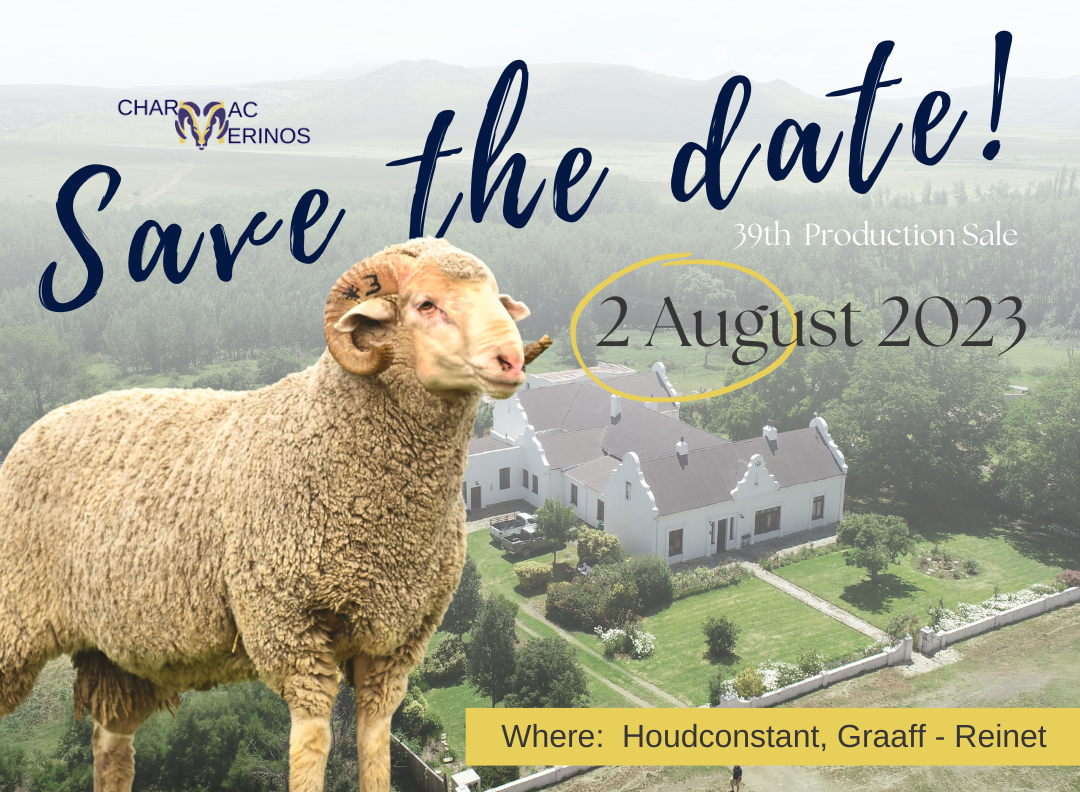 When 22 February 2023 Where Houdconstant, Graaff-Reinet